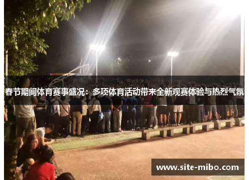 春节期间体育赛事盛况：多项体育活动带来全新观赛体验与热烈气氛