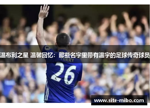 温布利之星 温馨回忆：那些名字里带有温字的足球传奇球员