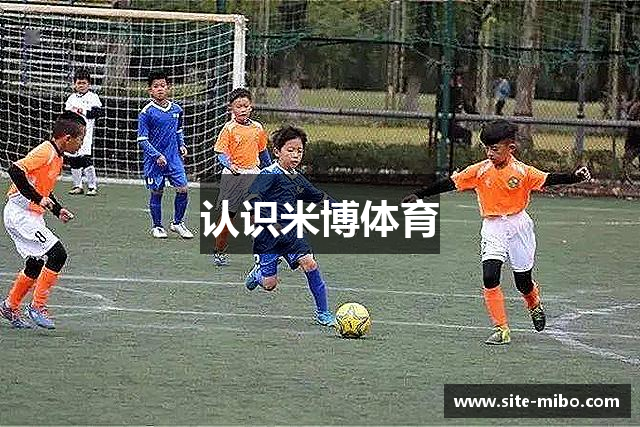 认识米博体育